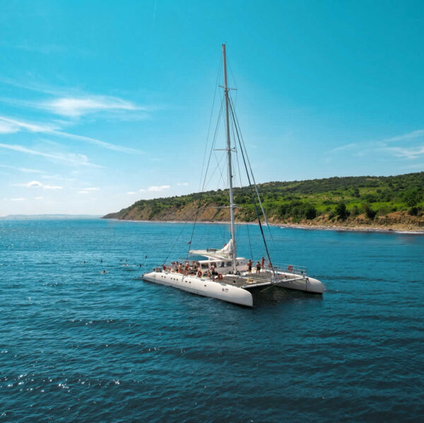 Vip Catamaran